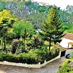 Charming House In With View B