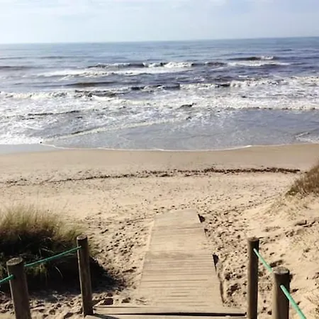 Charming House In With View B