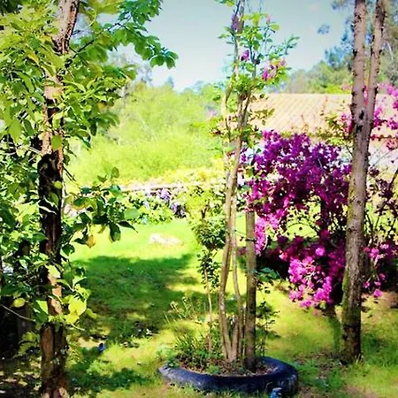 Charming View House In *