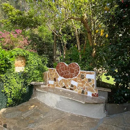 Charming House In With View B