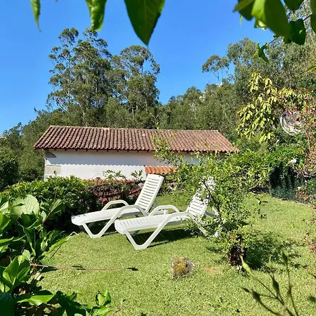 Charming House In With View B Castelo Do Neiva
