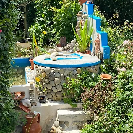 Charming House In With View B