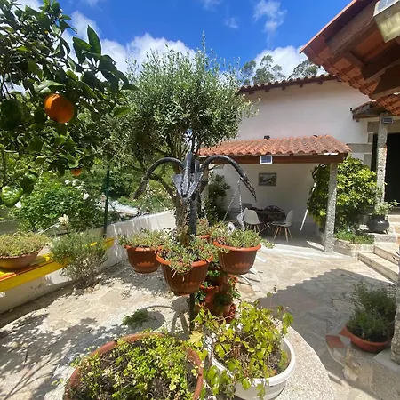 Charming House In With View B * Castelo Do Neiva