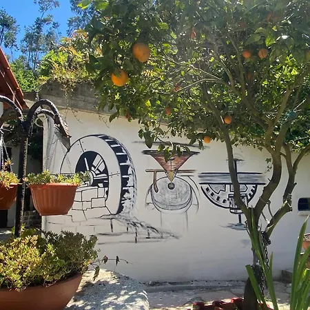 Charming House In With View B