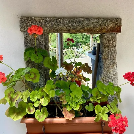 Charming House In With View B بيت للعطل Castelo Do Neiva