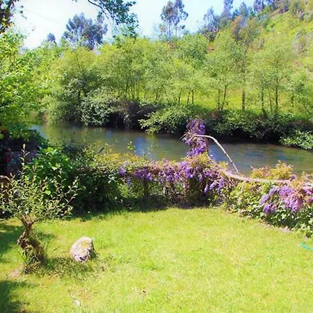 Charming House In With View B