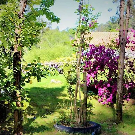 Nyaraló Charming House In With View B Castelo do Neiva