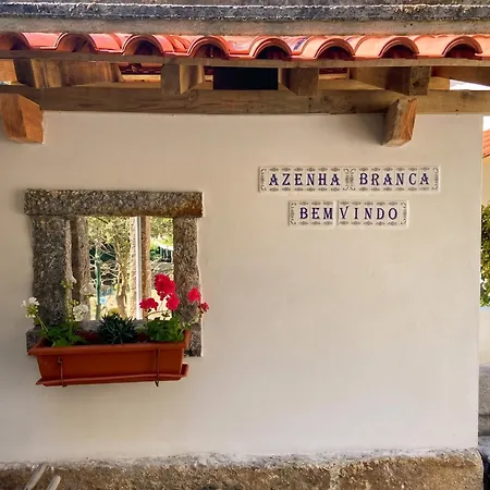Charming House In With View * Castelo Do Neiva