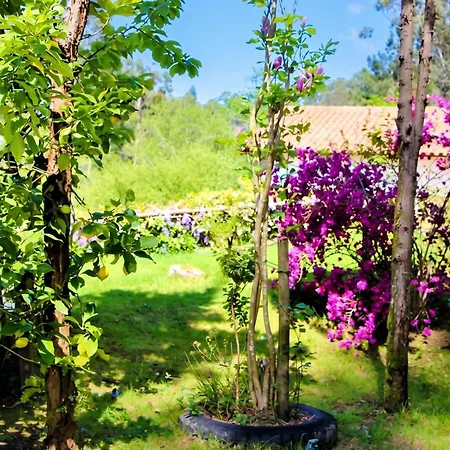 Charming House In With View * Castelo Do Neiva