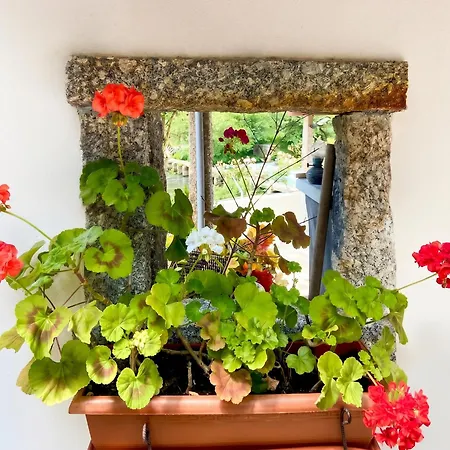 Charming House In With View Ferienhaus *