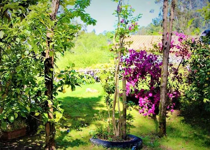 Charming House In With View B *