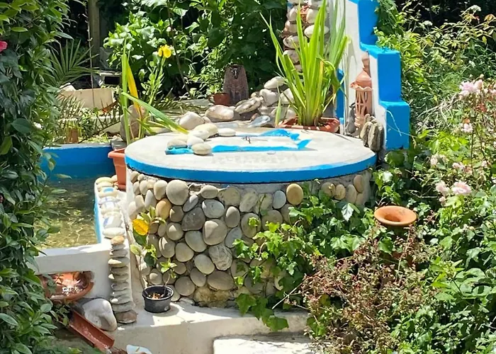 Charming House In With View B