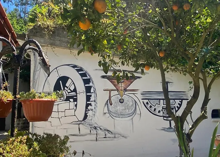 Charming House In With View B